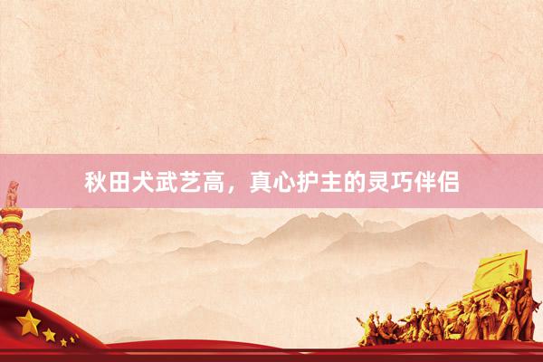 秋田犬武艺高，真心护主的灵巧伴侣