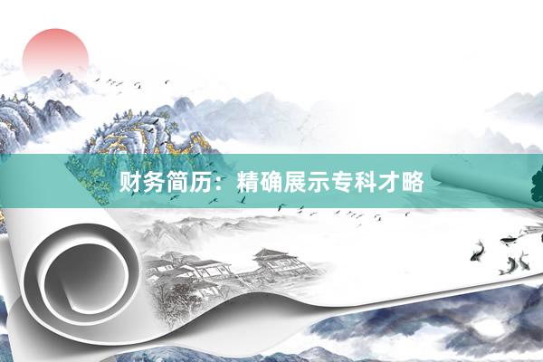 财务简历：精确展示专科才略